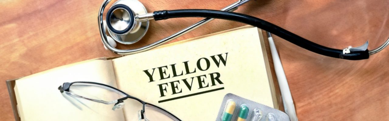 Yellow fever and why getting a certificate is important